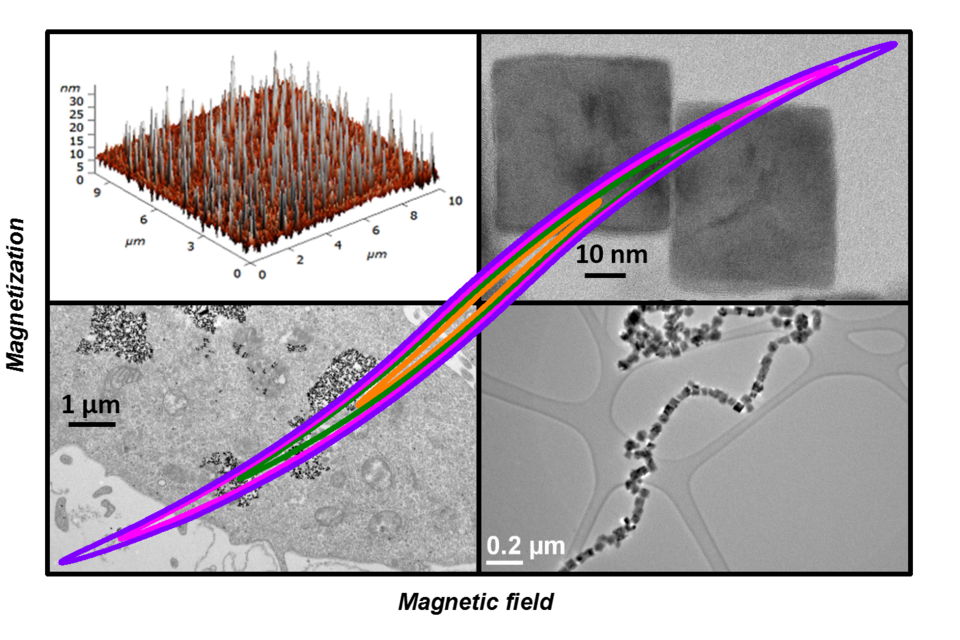 big_61c8f46952e54873a0b5748a107509f7